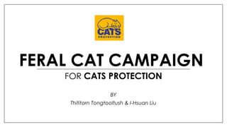 FERAL CAT CAMPAIGN
FOR CATS PROTECTION
BY
Thititorn Tongtooltush & I-Hsuan Liu
 