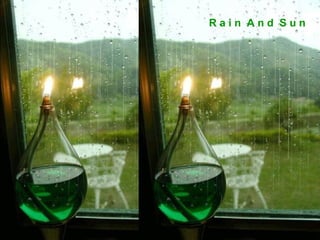 Rain And Sun
 