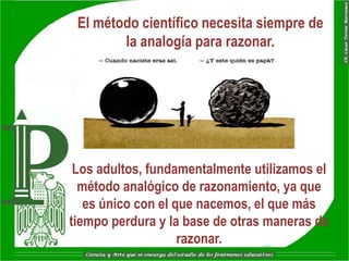 El método científico necesita siempre de
        la analogía para razonar.




 Los adultos, fundamentalmente utilizamos el
  método analógico de razonamiento, ya que
   es único con el que nacemos, el que más
tiempo perdura y la base de otras maneras de
                    razonar.
 
