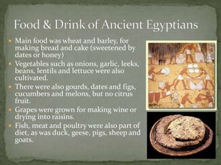  Main food was wheat and barley, for
making bread and cake (sweetened by
dates or honey)
 Vegetables such as onions, garlic, leeks,
beans, lentils and lettuce were also
cultivated.
 There were also gourds, dates and figs,
cucumbers and melons, but no citrus
fruit.
 Grapes were grown for making wine or
drying into raisins.
 Fish, meat and poultry were also part of
diet, as was duck, geese, pigs, sheep and
goats.
 