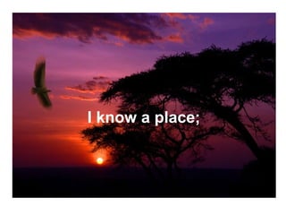 I know a place; 