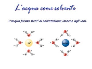 L’acqua forma strati di solvatazione intorno agli ioni.
 