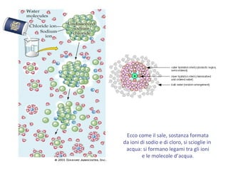 Ecco come il sale, sostanza formata
da ioni di sodio e di cloro, si scioglie in
acqua: si formano legami tra gli ioni
e le molecole d’acqua.
 
