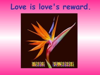 Love is love's reward. 