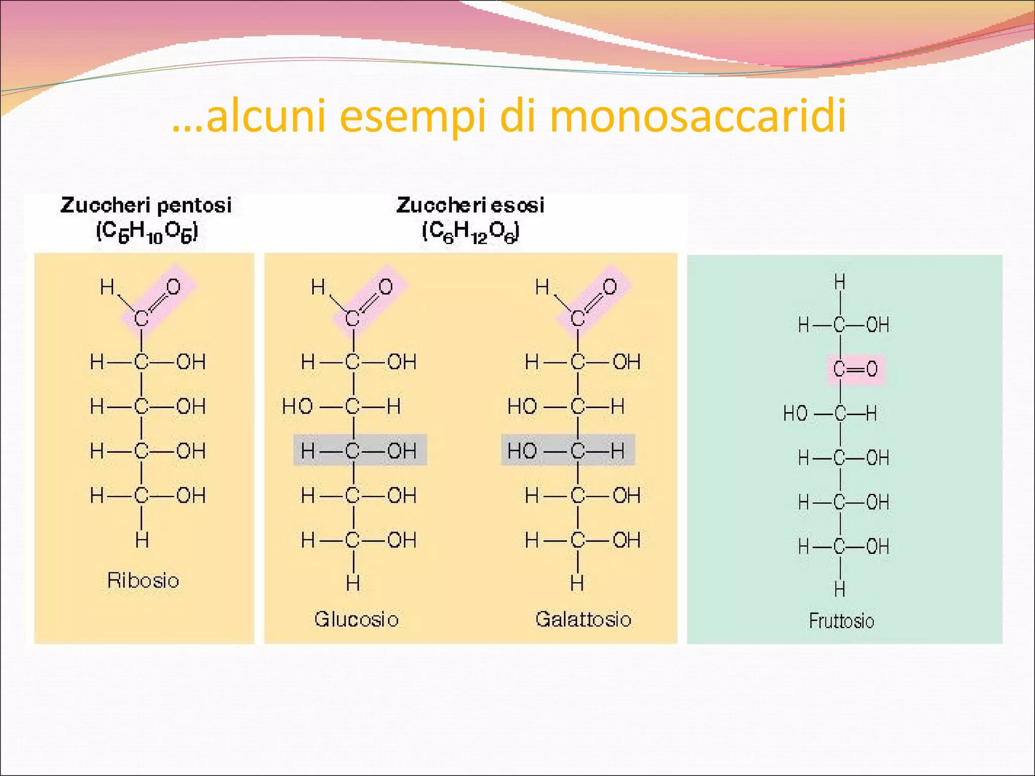 … alcuni esempi di monosaccaridi  