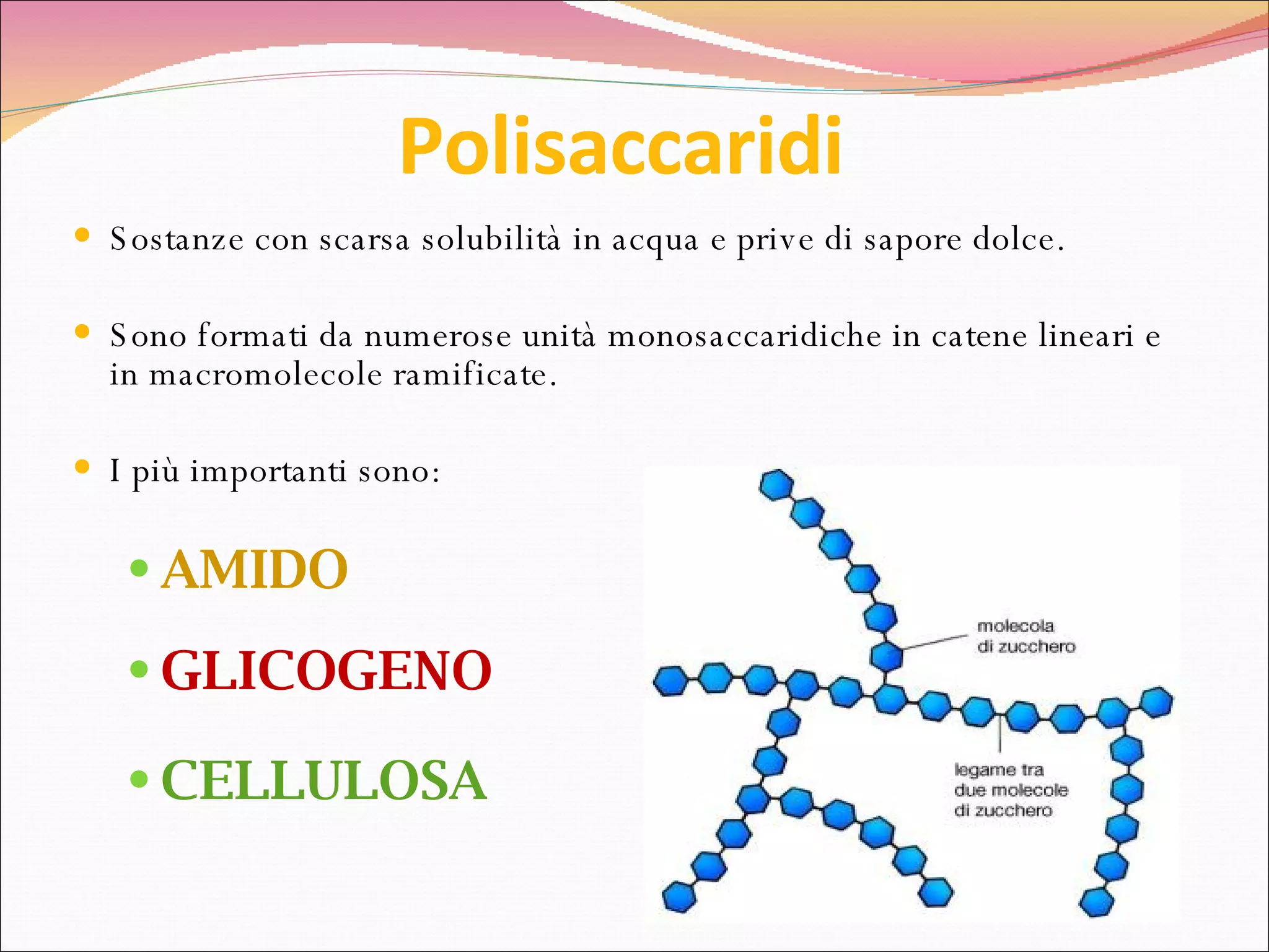 Polisaccaridi Sostanze con scarsa solubilità in acqua e prive di sapore dolce. Sono formati da numerose unità monosaccaridiche in catene lineari e in macromolecole ramificate. I più importanti sono:  AMIDO GLICOGENO CELLULOSA 