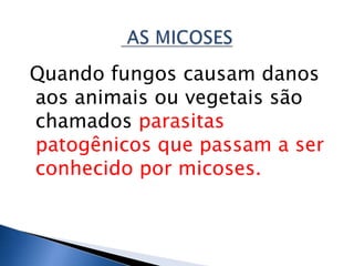 Quando fungos causam danos
aos animais ou vegetais são
chamados parasitas
patogênicos que passam a ser
conhecido por micoses.
 