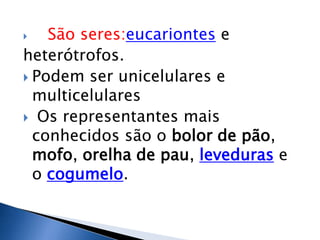    São seres:eucariontes e
heterótrofos.
 Podem ser unicelulares e
  multicelulares
 Os representantes mais
  conhecidos são o bolor de pão,
  mofo, orelha de pau, leveduras e
  o cogumelo.
 