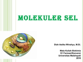 Molekuler Sel
Mata Kuliah Biokimia
S1 Farmasi/Konversi
Universitas Malahayati
2016
Diah Astika Winahyu, M.Si.
 