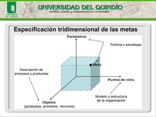 Especificación tridimensional de las metas  