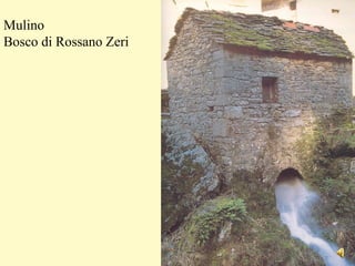 Mulino
Bosco di Rossano Zeri