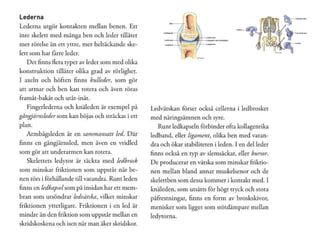 I -muskler-leder--rorelse---editerad-av-daniel-v02