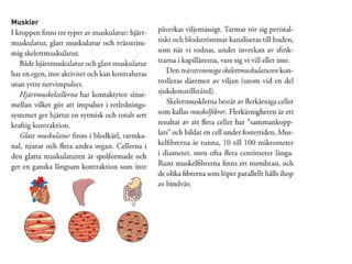 I -muskler-leder--rorelse---editerad-av-daniel-v02