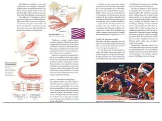 I -muskler-leder--rorelse---editerad-av-daniel-v02