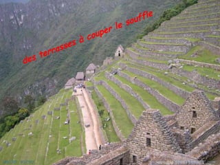 des terrasses à couper le souffle 