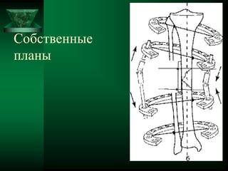 Собственные
планы
 