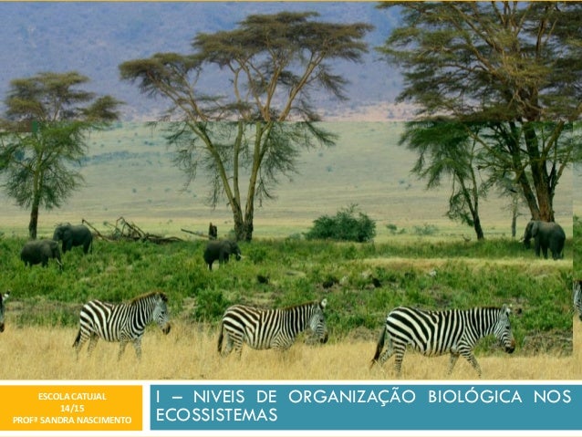 I – NIVEIS DE ORGANIZAÇÃO BIOLÓGICA NOS ECOSSISTEMAS 
ESCOLA CATUJAL 
14/15 
PROFª SANDRA NASCIMENTO  