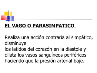 EL VAGO O PARASIMPATICO  Realiza una acción contraria al simpático, disminuye  los latidos del corazón en la diastole y dilata los vasos sanguíneos periféricos haciendo que la presión arterial baje. 