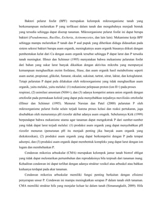 Apakah terdapat pengaruh terbaik pemberian BPF dan cendawan mikoriza arbuskular  terhadap populasi bakteri dalam tanah pada hasil ubi tanaman ubi jalar?