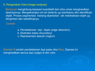 5. Pengorakan Citra ( image analysis) Bertujuan  menghitung besaran kuantitatif dari citra untuk menghasilkan  deskripsinya. Mengekstraksi ciri-ciri tertentu yg membantu dlm identifikasi objek. Proses segmentasi  kadang diperlukan  utk melokalisasi objek yg diinginkan dari sekelilingnya. Contoh: a. Pendeteksian  tepi  objek ( edge detection ) b. Ekstraksi batas ( boundary ) c. Representasi daerah ( region ) Gambar 6  contoh pendeteksian tepi pada citra  Rice , Operasi ini menghasilkan semua tepi ( edge ) di dlm citra 