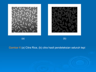 Gambar 6  (a) Citra Rice, (b) citra hasil pendeteksian seluruh tepi (a) (b) 