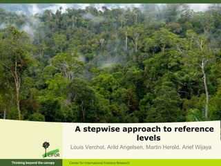 A stepwise approach to reference
levels
Louis Verchot, Arild Angelsen, Martin Herold, Arief Wijaya

 