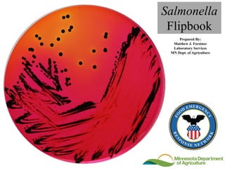 Salmonella
Flipbook
Prepared By:
Matthew J. Forstner
Laboratory Services
MN Dept. of Agriculture
 