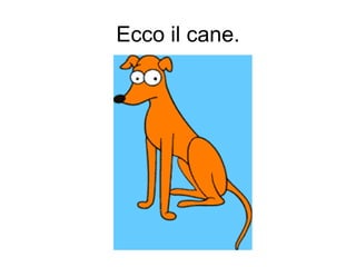 Ecco il cane. 