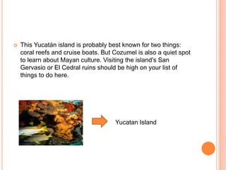  This Yucatán island is probably best known for two things:
coral reefs and cruise boats. But Cozumel is also a quiet spot
to learn about Mayan culture. Visiting the island's San
Gervasio or El Cedral ruins should be high on your list of
things to do here.
Yucatan Island
 