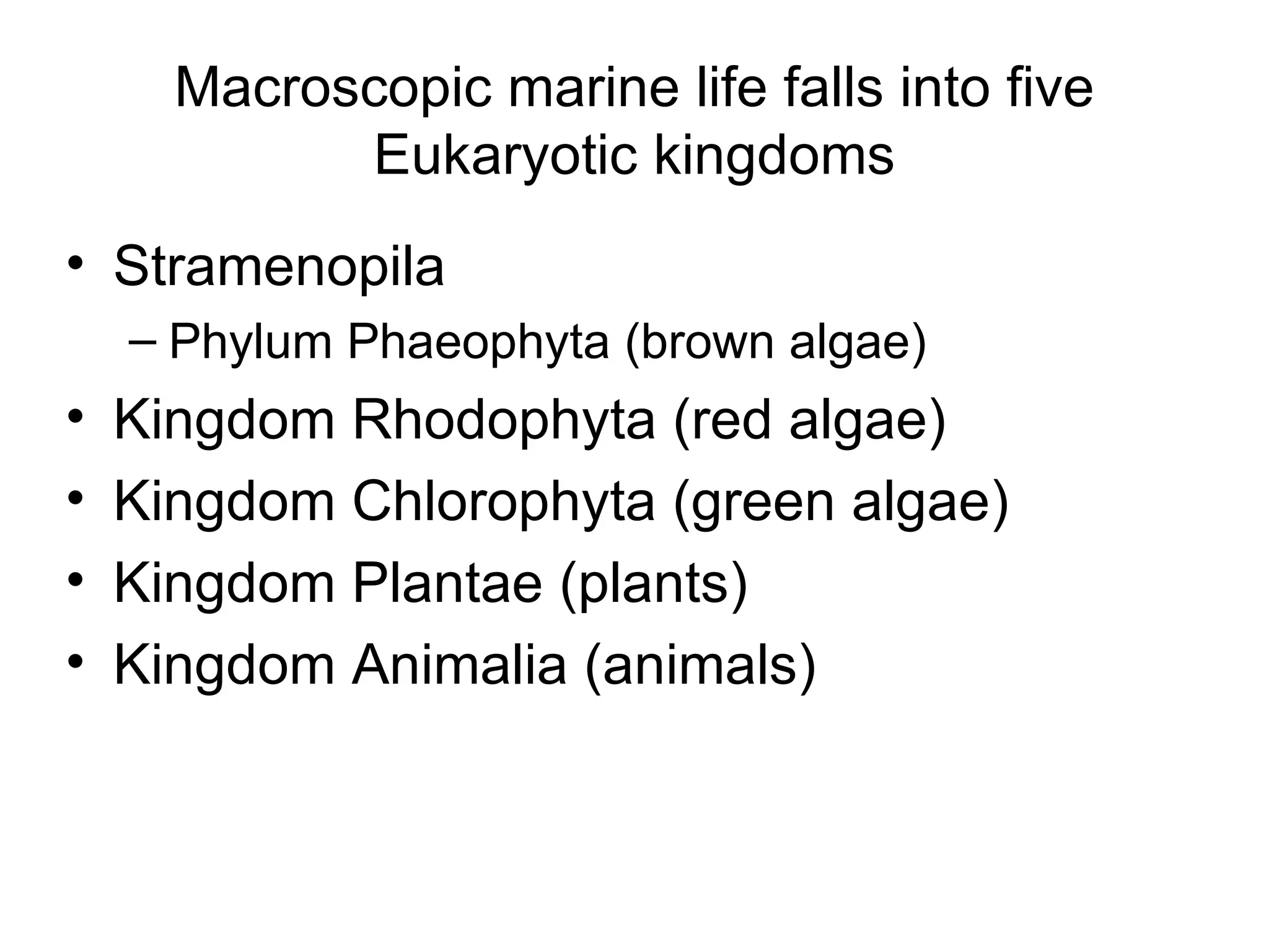 Macroscopic marine life falls into five Eukaryotic kingdoms Stramenopila Phylum Phaeophyta (brown algae) Kingdom Rhodophyta (red algae) Kingdom Chlorophyta (green algae) Kingdom Plantae (plants) Kingdom Animalia (animals)  