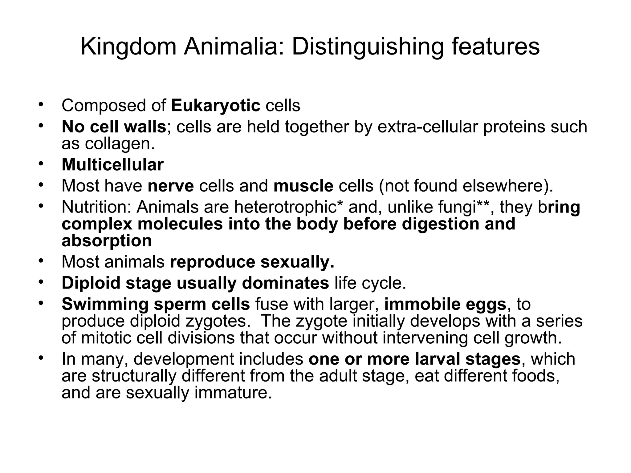 Kingdom Animalia: Distinguishing features Composed of  Eukaryotic  cells  No cell walls ; cells are held together by extra-cellular proteins such as collagen. Multicellular Most have  nerve  cells and  muscle  cells (not found elsewhere). Nutrition: Animals are heterotrophic* and, unlike fungi**, they b ring complex molecules into the body before digestion and absorption Most animals  reproduce sexually. Diploid stage usually dominates  life cycle. Swimming sperm cells  fuse with larger,  immobile eggs , to produce diploid zygotes.  The zygote initially develops with a series of mitotic cell divisions that occur without intervening cell growth.  In many, development includes  one or more larval stages , which are structurally different from the adult stage, eat different foods, and are sexually immature.  