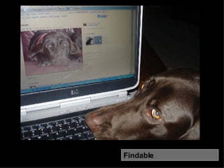 Findable What are some ways that Nonprofits can pick the low 