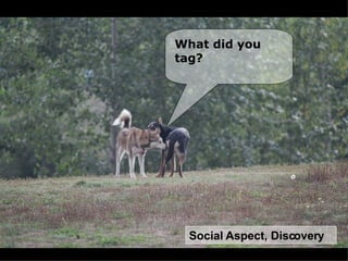 What are some ways that Nonprofits can pick the low Social Aspect, Discovery What did you  tag? 