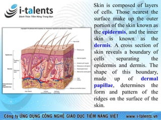 [I-TALENTS] - GIẢI MÃ VÂN TAY | PPS