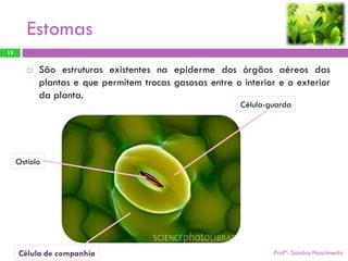 Estomas
13


           São estruturas existentes na epiderme dos órgãos aéreos das
            plantas e que permitem trocas gasosas entre o interior e o exterior
            da planta.
                                                          Célula-guarda




     Ostíolo




     Célula de companhia                                          Profª: Sandra Nascimento
 