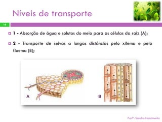 Níveis de transporte
16


        1 - Absorção de água e solutos do meio para as células da raiz (A);

        2 - Transporte de seivas a longas distâncias pelo xilema e pelo
         floema (B);




               A                                   B




                                                                 Profª: Sandra Nascimento
 