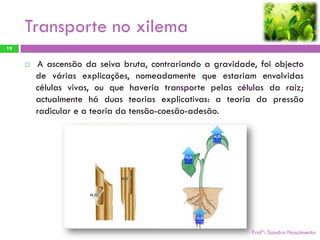 Transporte no xilema
19


        A ascensão da seiva bruta, contrariando a gravidade, foi objecto
         de várias explicações, nomeadamente que estariam envolvidas
         células vivas, ou que haveria transporte pelas células da raiz;
         actualmente há duas teorias explicativas: a teoria da pressão
         radicular e a teoria da tensão-coesão-adesão.




                                                            Profª: Sandra Nascimento
 