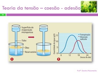 Teoria da tensão – coesão - adesão
24




                                Profª: Sandra Nascimento
 