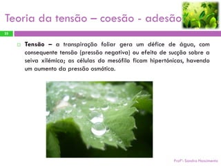 Teoria da tensão – coesão - adesão
25


        Tensão – a transpiração foliar gera um défice de água, com
         consequente tensão (pressão negativa) ou efeito de sucção sobre a
         seiva xilémica; as células do mesófilo ficam hipertónicas, havendo
         um aumento da pressão osmótica.




                                                              Profª: Sandra Nascimento
 
