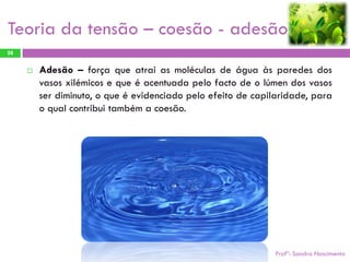Teoria da tensão – coesão - adesão
28


        Adesão – força que atrai as moléculas de água às paredes dos
         vasos xilémicos e que é acentuada pelo facto de o lúmen dos vasos
         ser diminuto, o que é evidenciado pelo efeito de capilaridade, para
         o qual contribui também a coesão.




                                                               Profª: Sandra Nascimento
 