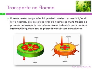 Transporte no floema
33


        Durante muito tempo não foi possível analisar a constituição da
         seiva floémica, pois as células vivas do floema são muito frágeis e o
         processo de transporte que nelas ocorre é facilmente perturbado ou
         interrompido quando esta se pretende extrair com micropipetas.




                                                                Profª: Sandra Nascimento
 