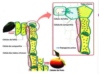37




     Profª: Sandra Nascimento
 