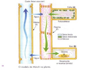 38   Profª: Sandra Nascimento
 