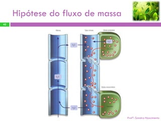 Hipótese do fluxo de massa
42




                                  Profª: Sandra Nascimento
 