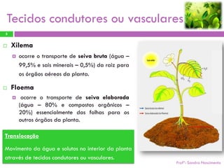 Tecidos condutores ou vasculares
5


   Xilema
       ocorre o transporte de seiva bruta (água –
        99,5% e sais minerais – 0,5%) da raiz para
        os órgãos aéreos da planta.

   Floema
        ocorre o transporte de seiva elaborada
        (água – 80% e compostos orgânicos –
        20%) essencialmente das folhas para os
        outros órgãos da planta.

Translocação

Movimento da água e solutos no interior da planta
através de tecidos condutores ou vasculares.
                                                     Profª: Sandra Nascimento
 