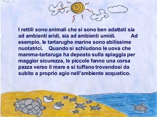 I rettili sono animali che si sono ben adattati sia ad ambienti aridi, sia ad ambienti umidi.  Ad esempio, le tartarughe marine sono abilissime nuotatrici.  Quando si schiudono le uova che mamma-tartaruga ha deposto sulla spiaggia per maggior sicurezza, le piccole fanno una corsa pazza verso il mare e si tuffano trovandosi da subito a proprio agio nell’ambiente acquatico. 