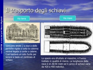 Il trasporto degli schiavi Via terra Via mare Venivano stretti 2 a due a delle pertiche rigide e tutta la colonna veniva legata a corde o catene. Così bastava un solo fucile per tenere a bada un centinaio di schiavi. Lo spazio era sfruttato al massimo, e l'uomo trattato in qualità di merce. La lunghezza della nave è di 28/30 metri ed il carico di schiavi varia da 420 a 450 individui.  