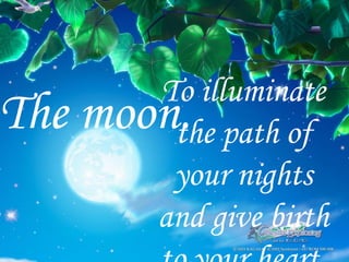 The moon . To illuminate the path of your nights and give birth to your heart. 