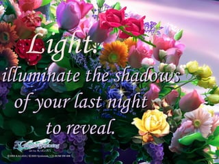 Light. To illuminate the shadows  of your last night to reveal.  