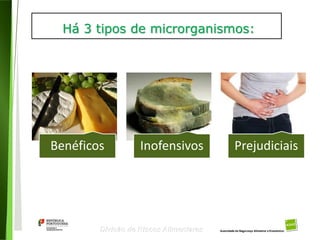 10
Divisão de Riscos Alimentares
Há 3 tipos de microrganismos:
Benéficos Inofensivos Prejudiciais
 